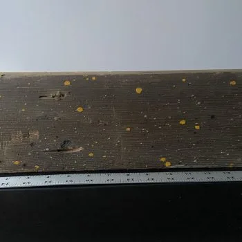 Green Bay Stadium 16" Board with Paint Splatter